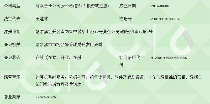 哈尔滨软件定制开发：企业信息化的航标灯