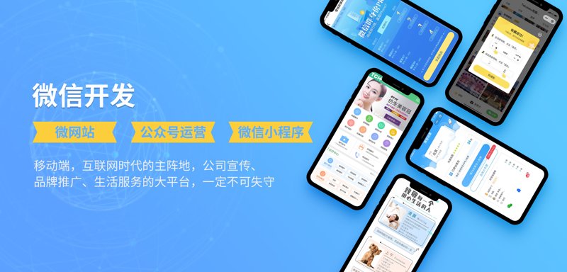 企业管理系统开发：数字化转型的坚实基石